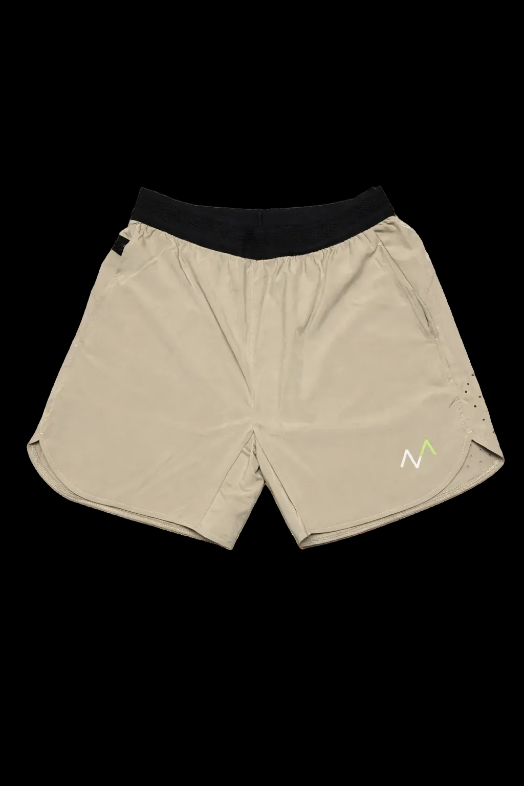 ASCND 5” Gym Shorts